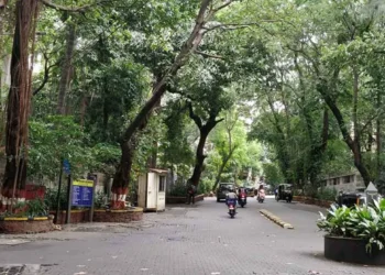 BMC Suspends Concretisation of Auxilium Convent Lane Following Residents' Concerns