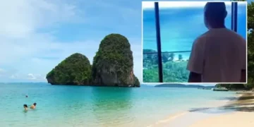 Sea View or See Wallpaper? New Tourist Scam Unveiled—Travelers Thought They Booked a Room with an Ocean View, but It Was Just Wallpaper