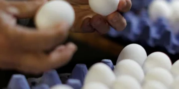 America's Egg Crisis