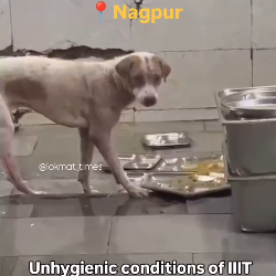 Hefty Fees, Filthy Kitchens: Where is FSSAI as Food Poisoning Rises in Schools & Colleges