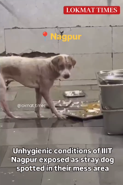 Hefty Fees, Filthy Kitchens: Where is FSSAI as Food Poisoning Rises in Schools & Colleges