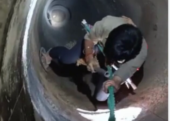 Heroic Rescue: Man Bravely Saves Cat Trapped in 120-Foot Well for 5 Days