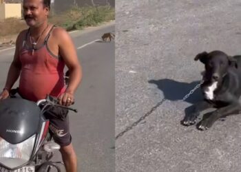 Shocking Animal Cruelty: Man Caught Dragging Dog Behind Motorcycle in Udaipur, Sparks Outrage