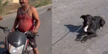 Shocking Animal Cruelty: Man Caught Dragging Dog Behind Motorcycle in Udaipur, Sparks Outrage