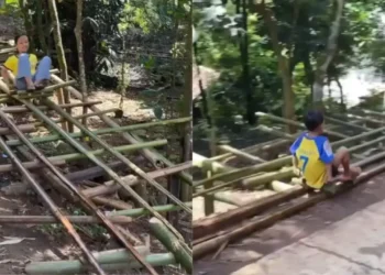 Pure Joy on Bamboo Rails: Meghalaya Kids Ride Handmade Roller Coaster Built by Villagers 2025