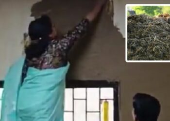 DU Principal Sparks Outcry After Applying Cow Dung on Classroom Walls to Beat Heat 2025