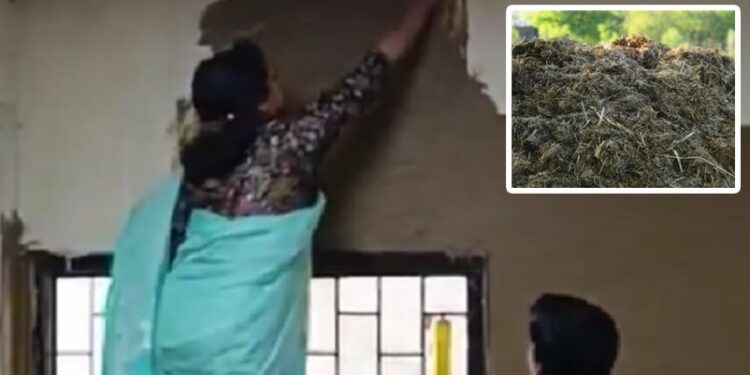 DU Principal Sparks Outcry After Applying Cow Dung on Classroom Walls to Beat Heat 2025
