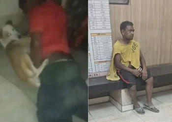 Outrage in Delhi’s Kailash Nagar as Man Caught Sexually Assaulting Stray Dogs; Locals and Activists Demand Justice