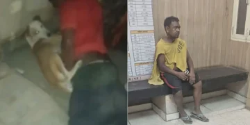 Outrage in Delhi’s Kailash Nagar as Man Caught Sexually Assaulting Stray Dogs; Locals and Activists Demand Justice