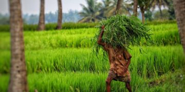 Sowing Hope: The Silent Strength of a Farmer’s Faith 2025