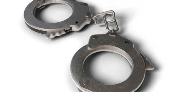 Woman Fakes Pregnancy for 9 Months, Kidnaps Girl from Safdarjung Hospital in Delhi; Arrested