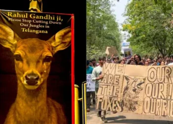 Stop Cutting Telangana Jungles’: BJP’s Tajinder Bagga Targets Rahul Gandhi with Posters Across Delhi 2025