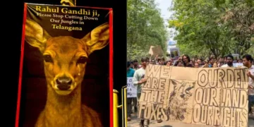 Stop Cutting Telangana Jungles’: BJP’s Tajinder Bagga Targets Rahul Gandhi with Posters Across Delhi 2025