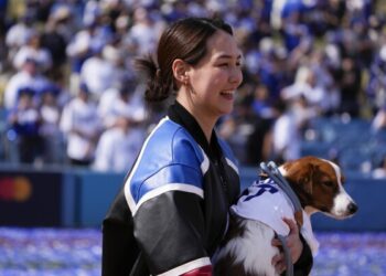 Dogesh Steals the Spotlight with Tail-Wagging Stadium Entrance