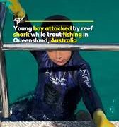 Shark Attack in Queensland: Fisherman Bitten During Father-Son Outing 2025