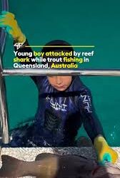 Shark Attack in Queensland: Fisherman Bitten During Father-Son Outing 2025