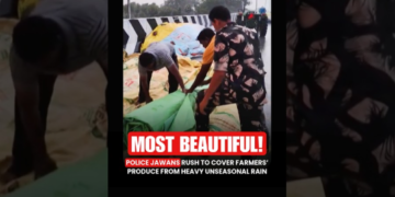 Heroes in Uniform: Jawans Shield Farmers’ Harvest from Rain in Nalgonda 2025