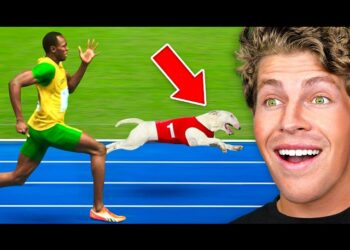 Man vs. Dog: The Ultimate Chase Flips the Script in Hilarious Citywide Sprint 2025