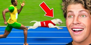 Man vs. Dog: The Ultimate Chase Flips the Script in Hilarious Citywide Sprint 2025