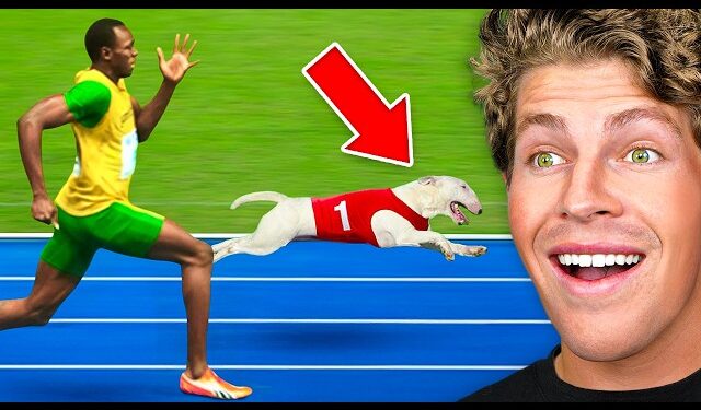 Man vs. Dog: The Ultimate Chase Flips the Script in Hilarious Citywide Sprint 2025