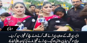 Journalist Maira Hashmi Slaps Teenager During Live Eid al-Adha Report for Alleged Harassment 2025