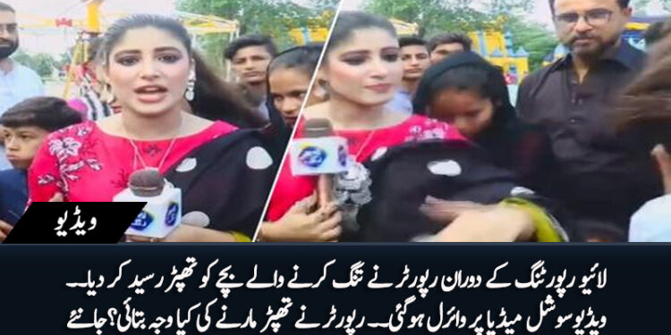 Journalist Maira Hashmi Slaps Teenager During Live Eid al-Adha Report for Alleged Harassment 2025