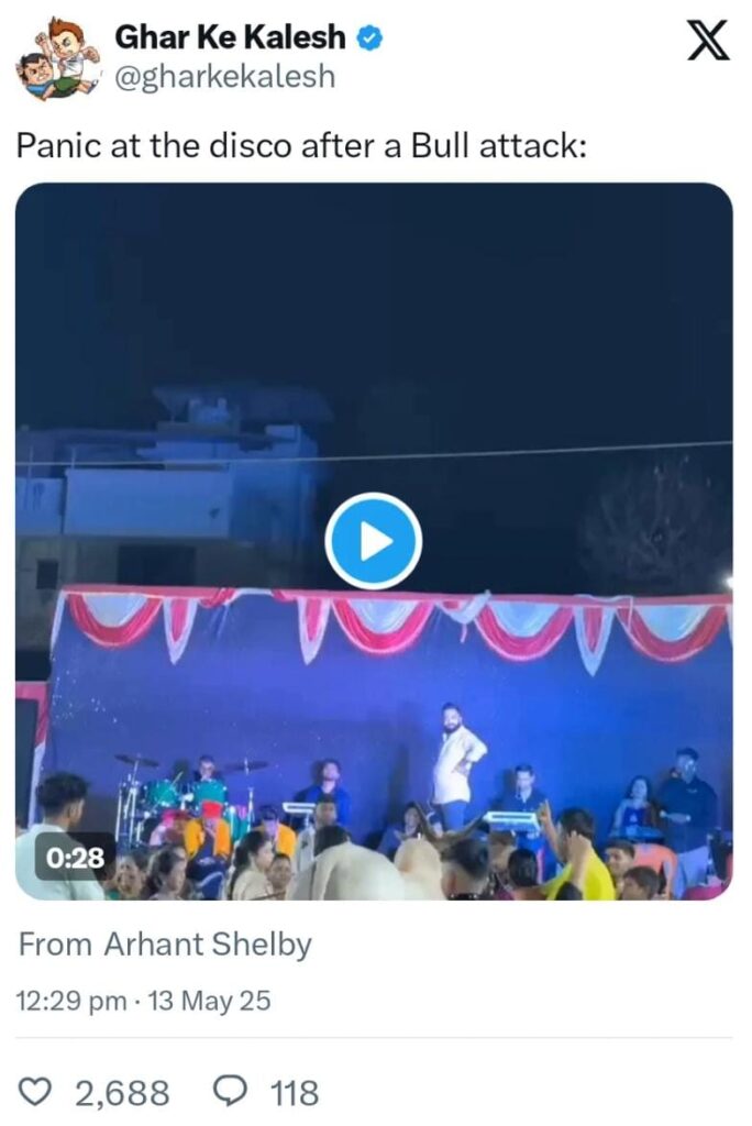 Unexpected Bull Causes Chaos at Family Celebration — Viral Video Captures the Mayhem