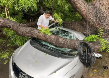 Cars damaged trees uprooted as heavy rains winds batter delhi