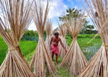 India Tightens Entry Points for Bangladeshi Jute, Restricts Land & Sea Ports 2025