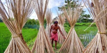 India Tightens Entry Points for Bangladeshi Jute, Restricts Land & Sea Ports 2025