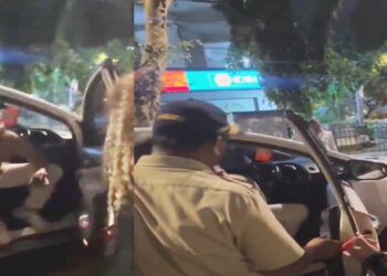 Mumbai Woman Accuses MNS Leader's Drunk Son of Crashing Into Her Car, Hurling Abuses on Camera | Watch Video 2025