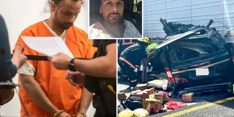 Petition Sees Over 2 Million Signatures Calling for Clemency for Indian Trucker After Florida Crash