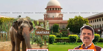 Fadnavis Announces Review Petition in Supreme Court Seeking Elephant Mahadevi’s Return 6 AUGUST
