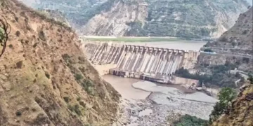 Warning Signs in Ravi River: The Growing Threat of the Wood Mafia 2025