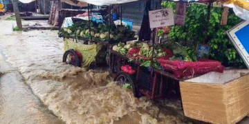 Heavy Rain Warning: IMD Raises Red Alert for Six Districts in Andhra Pradesh; Tamil Nadu Weather Update Inside