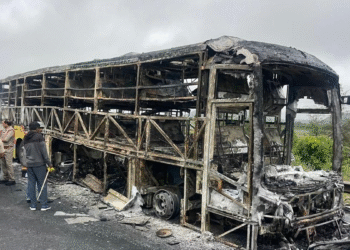 21 killed as Hyderabad-Bengaluru private bus catches fire in Andhra; Police collect DNA from charred bodies