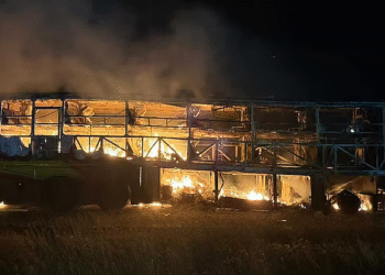 Andhra Pradesh Govt Announces ₹5 Lakh Ex Gratia for Kurnool Bus Tragedy Victims, ₹2 Lakh for Injured