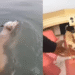 Mumbai: Stray Dog Stranded In Juhu Beach Waters For 3 Days, Rescued After Massive Effort | Video