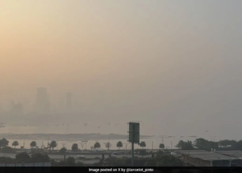 Mumbai Ward Watch: Pollution, traffic, congestion plague eastern suburbs of the city