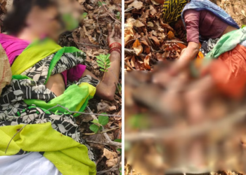 4 Women Killed in Shocking Tiger Attack in Maharashtra’s Chandrapur While Collecting Tendu Leaves